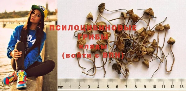 таблы Богородицк