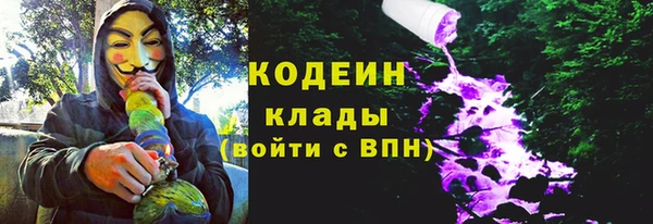 СК Бородино